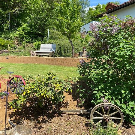 Apartmenthaus Ruhezeit Bad Endbach Esterno foto